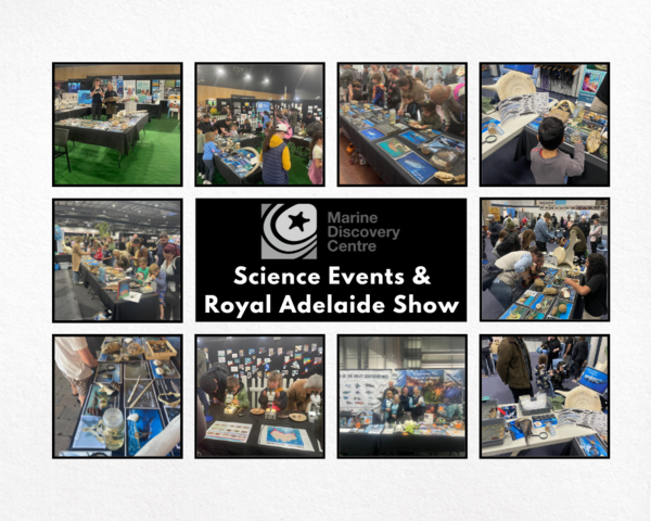 Science Events & Show 2024.png